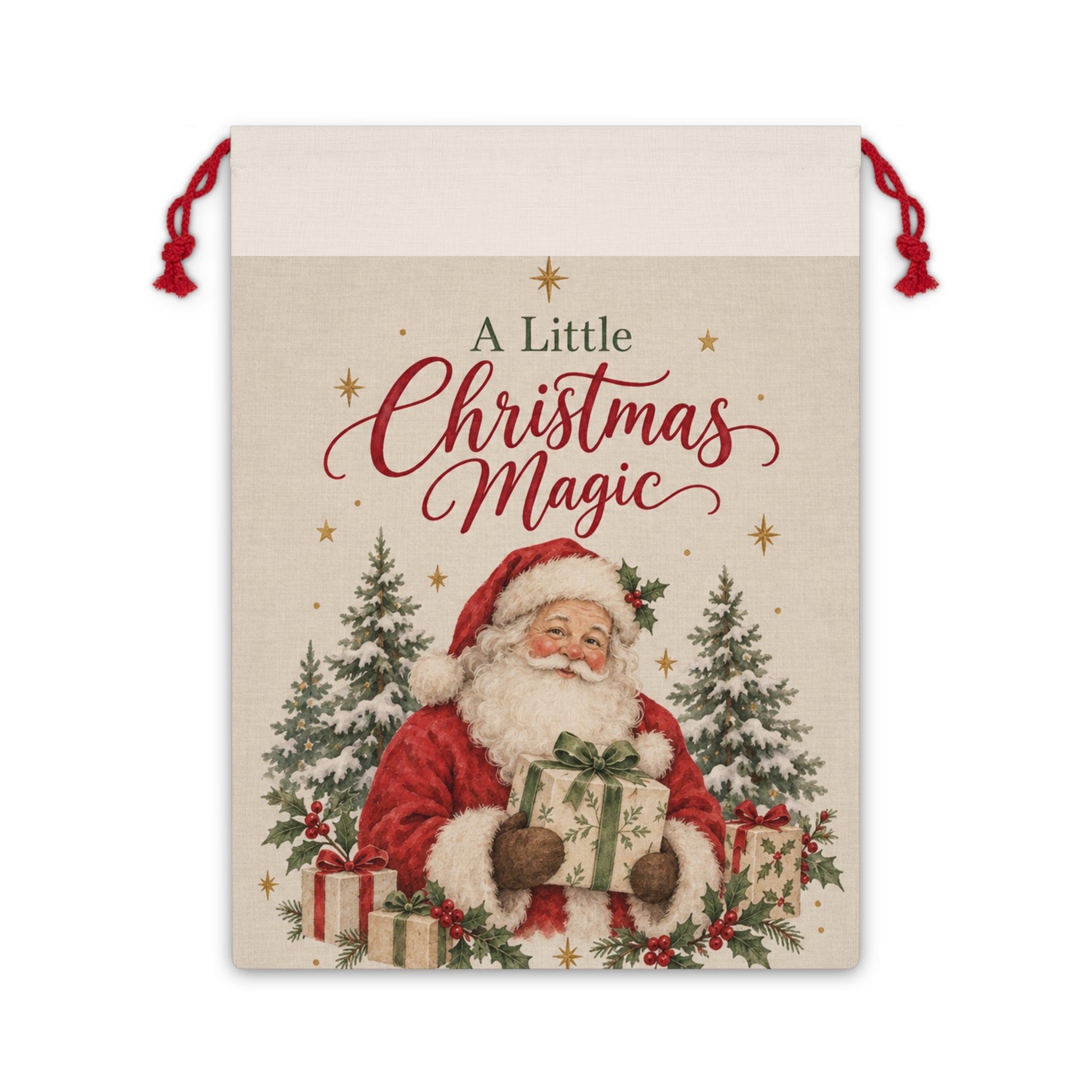 Santa "A Little Christmas Magic" Gift Bag